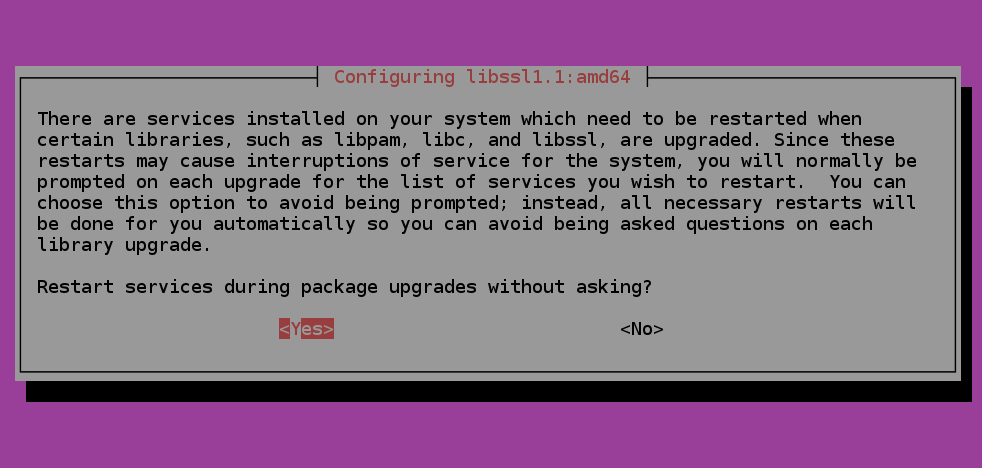 Select "Yes" when prompted to install libssl for npm Select "Yes" when prompted to install libssl for npm