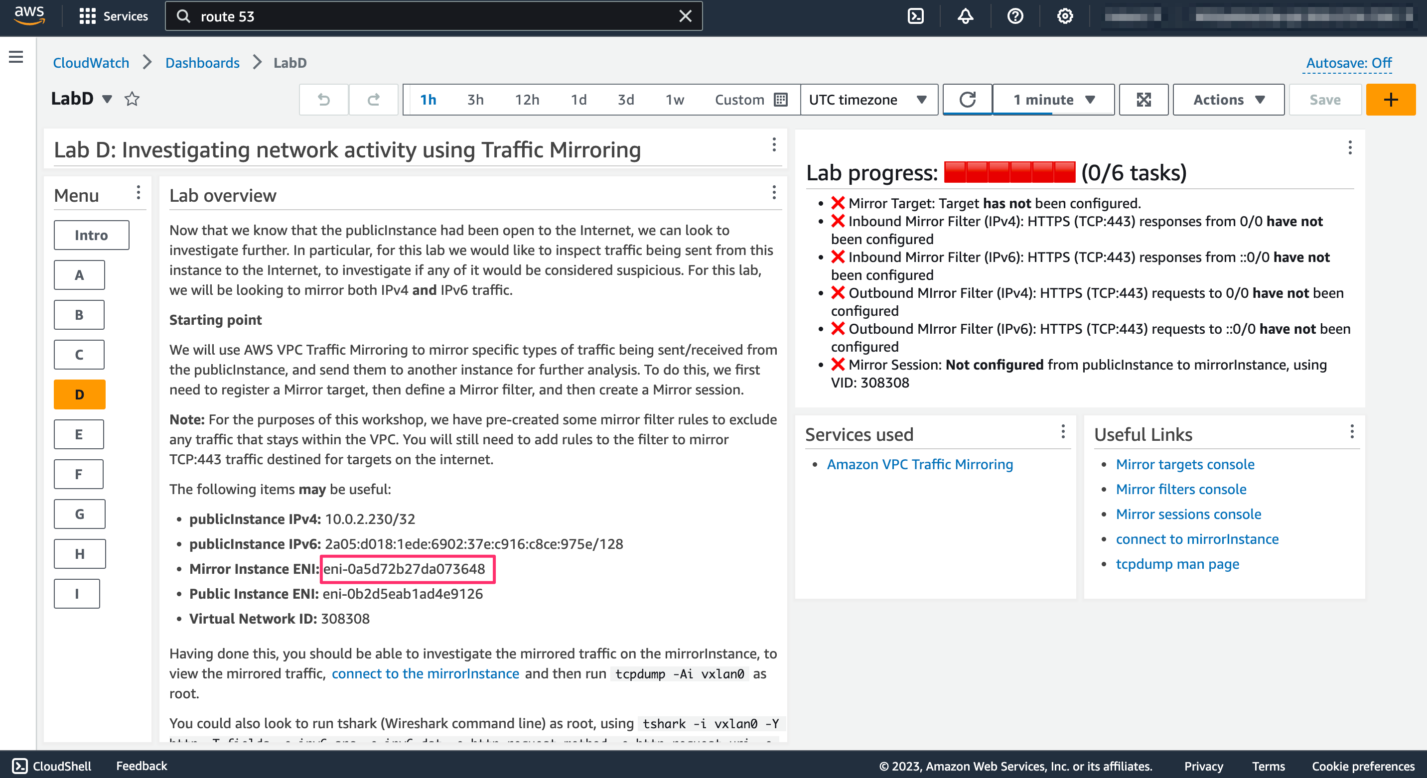 Cloudwatch Dashboard showing custom widget output