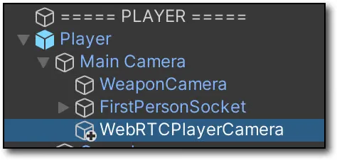 Player cam