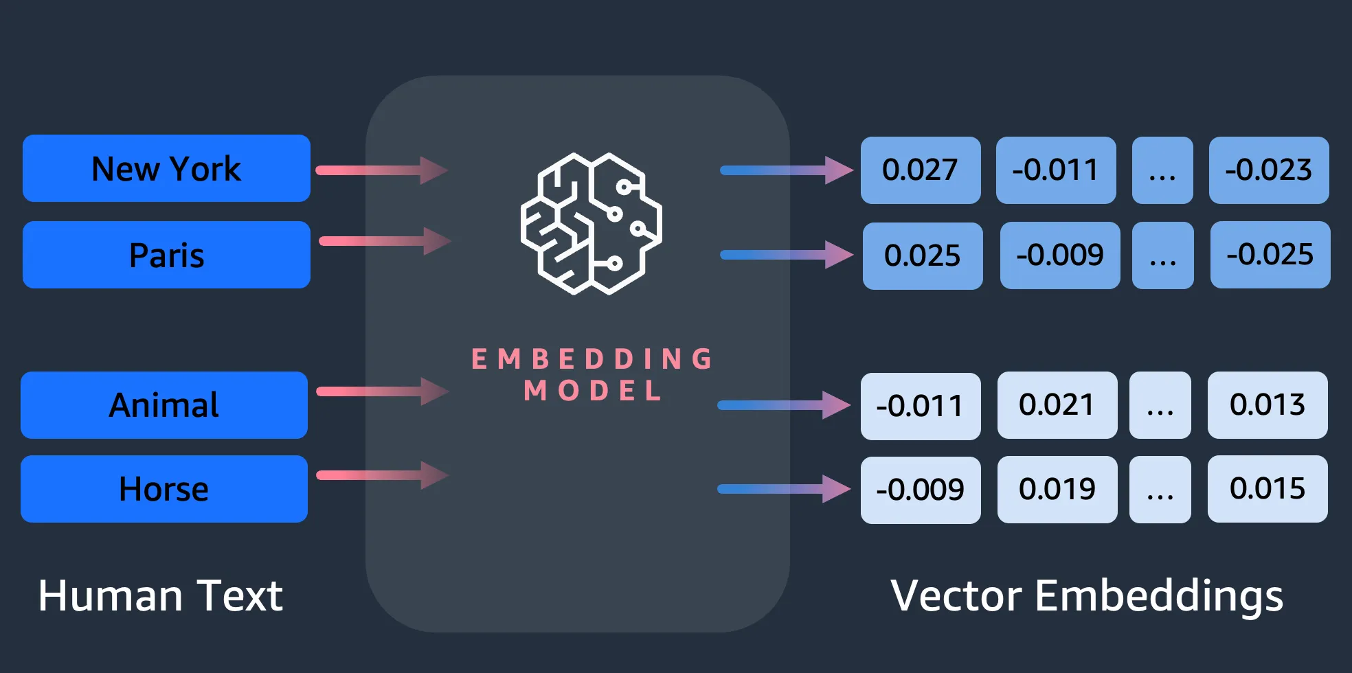 Vector embeddings